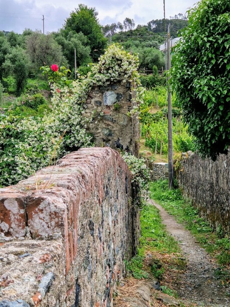 Levanto - Kohti avaraa maailmaa