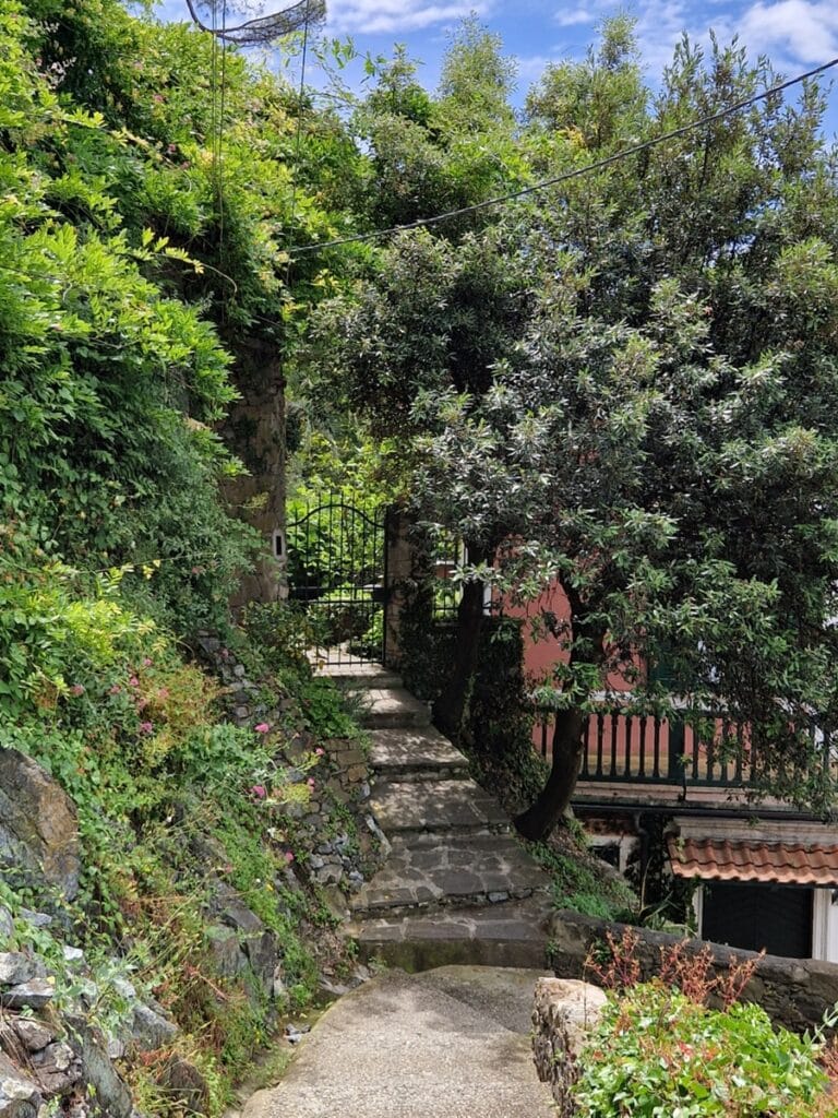 Levanto - Kohti avaraa maailmaa