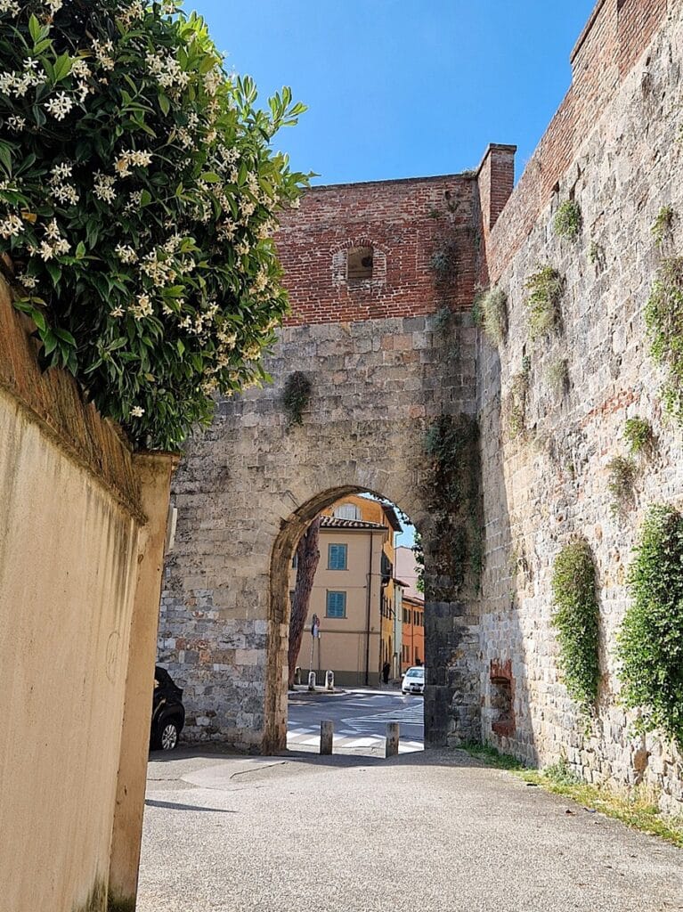 Pisa - Kohti avaraa maailmaa