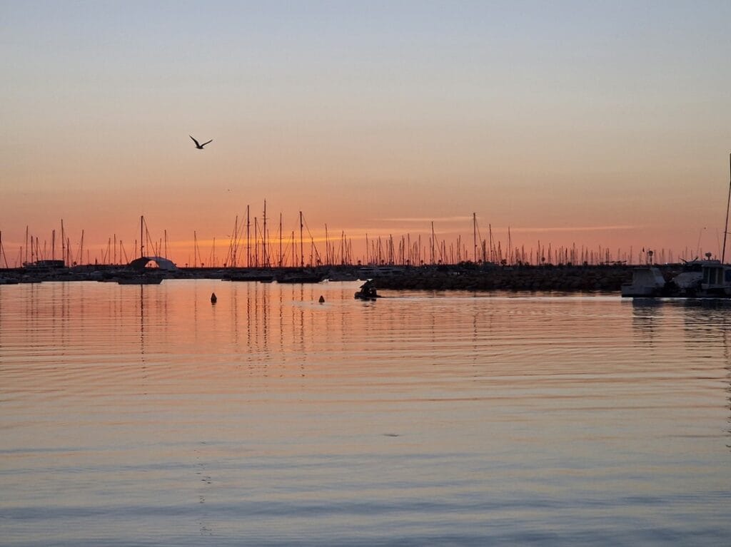 Vuoden 2025 matkat ja kustannukset sekä suunnitelma vuodelle 2026