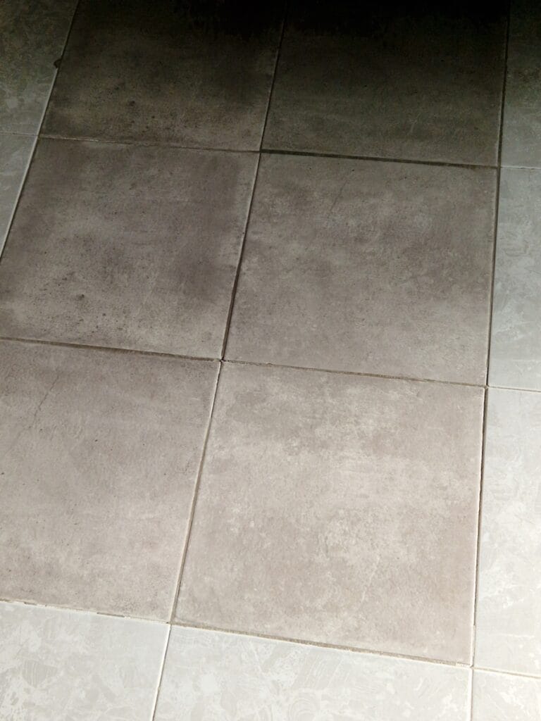 Talon etsintä Espanjasta osa 13 - päätepysäkkinä Torrevieja