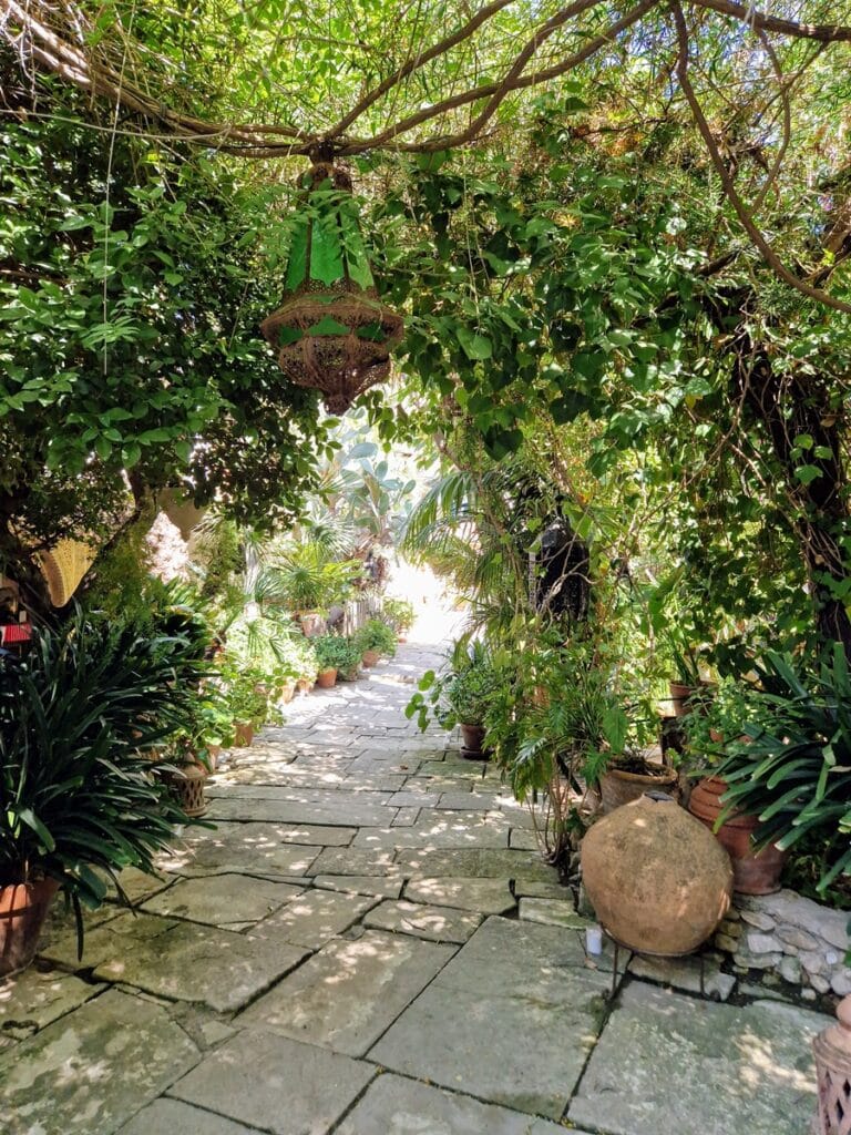 Teteria Carmen - Kohti avaraa maailmaa