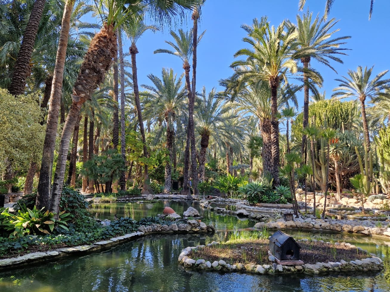 Huerto del Cura - Kohti avaraa maailmaa