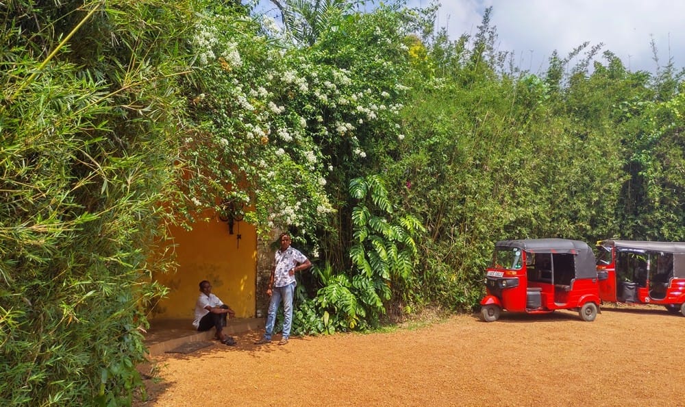 Brief Garden - Kohti avaraa maailmaa