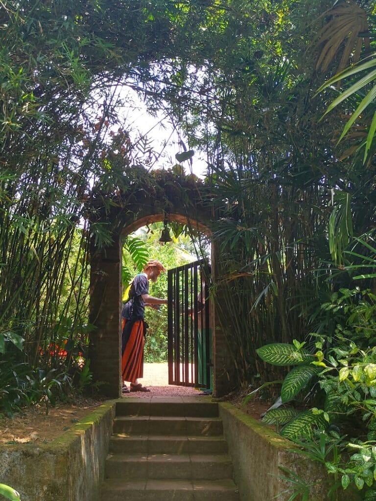 Brief Garden - Kohti avaraa maailmaa