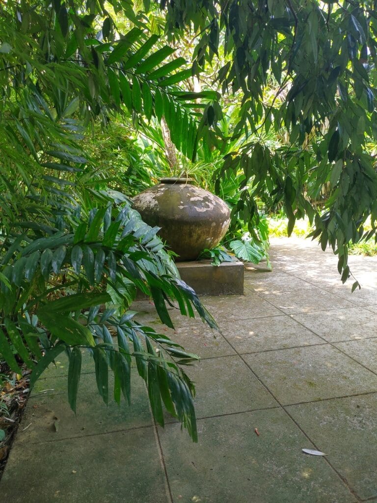 Brief Garden - Kohti avaraa maailmaa