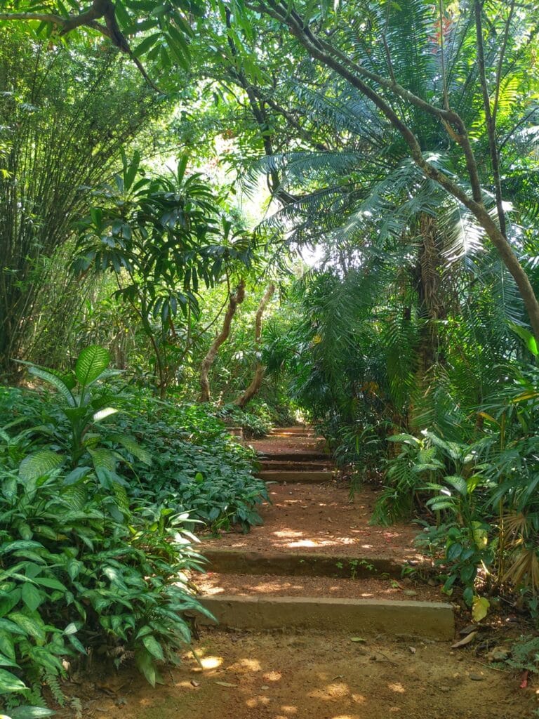 Brief Garden - Kohti avaraa maailmaa