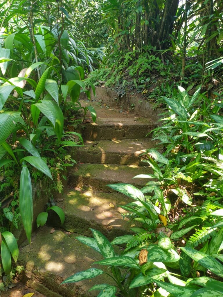 Brief Garden - Kohti avaraa maailmaa