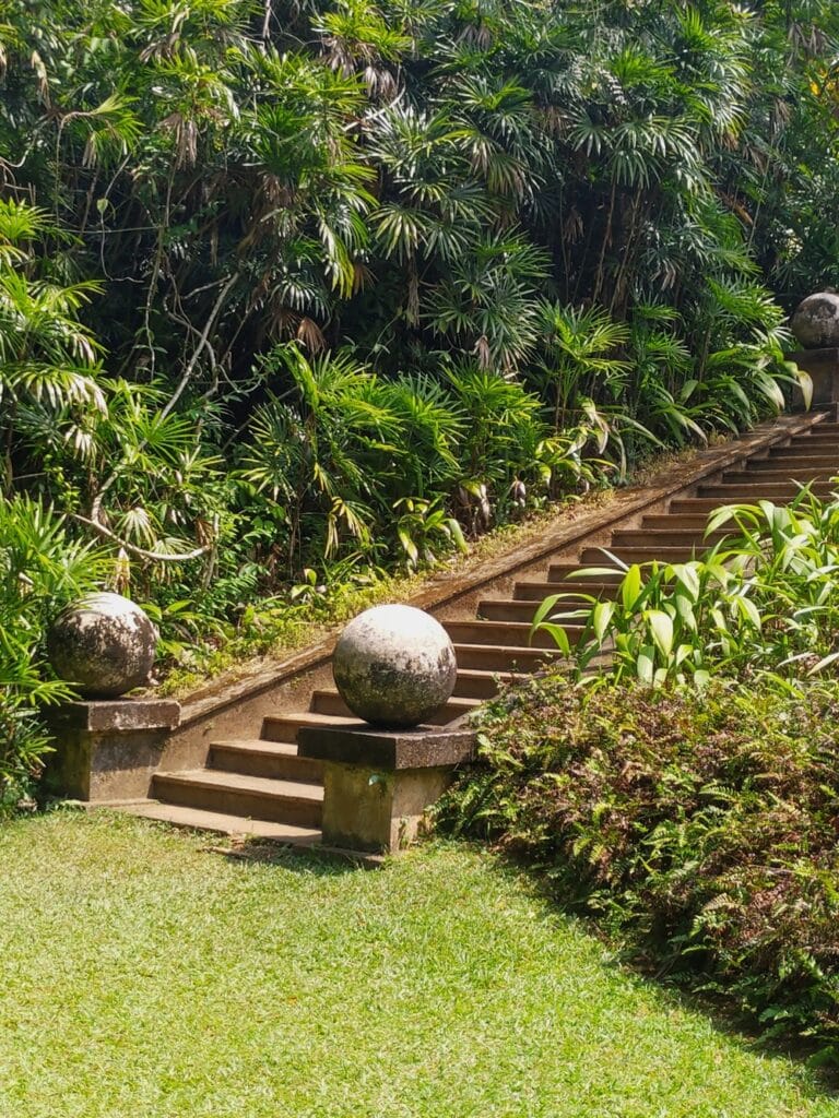 Brief Garden - Kohti avaraa maailmaa