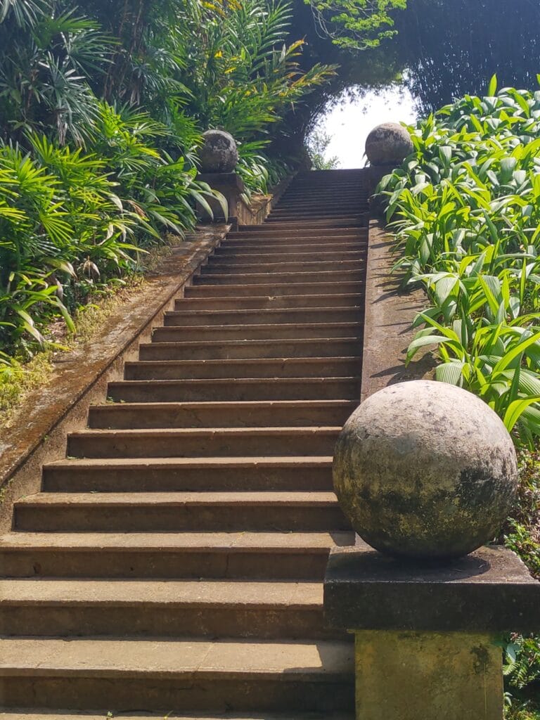 Brief Garden - Kohti avaraa maailmaa