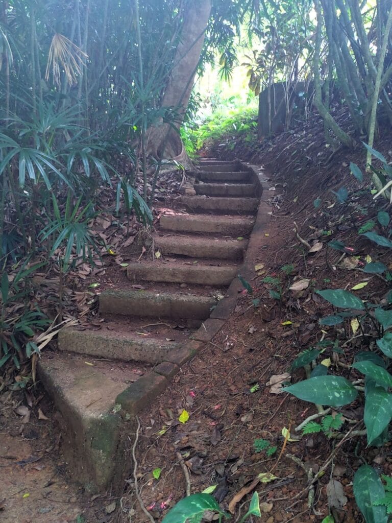 Brief Garden - Kohti avaraa maailmaa