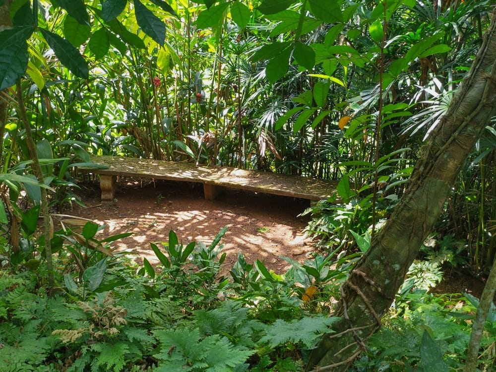 Brief Garden - Kohti avaraa maailmaa