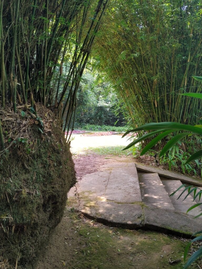 Brief Garden - Kohti avaraa maailmaa