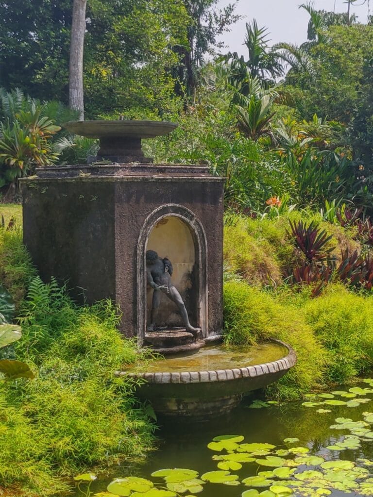 Brief Garden - Kohti avaraa maailmaa