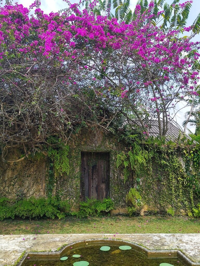 Brief Garden - Kohti avaraa maailmaa