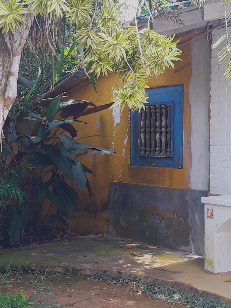 Brief Garden - Kohti avaraa maailmaa