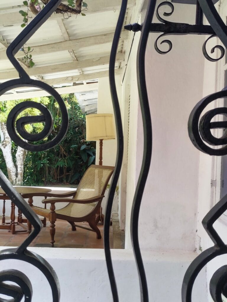 Brief Garden - Kohti avaraa maailmaa