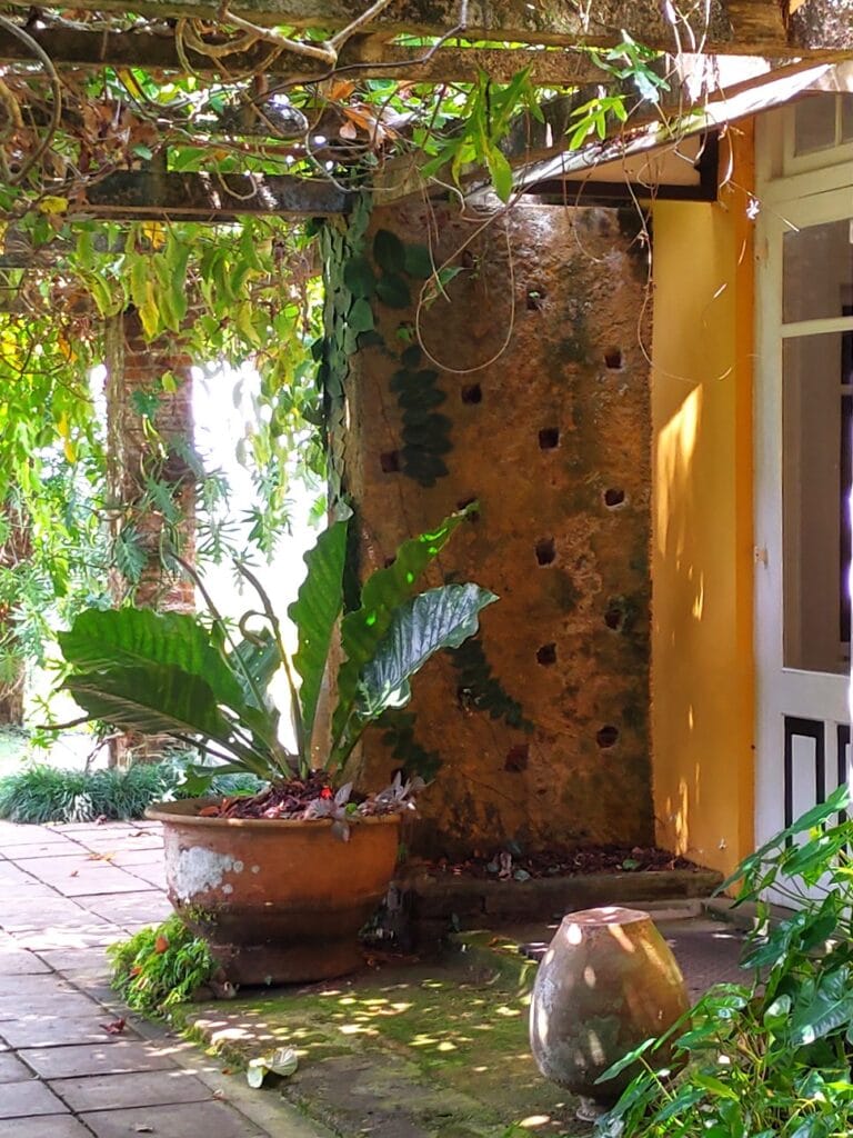 Brief Garden - Kohti avaraa maailmaa