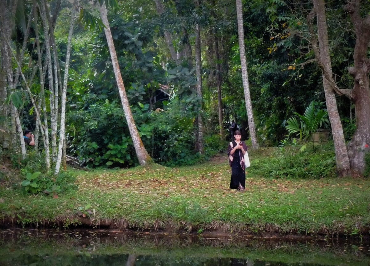 Lunuganga - Kohti avaraa maailmaa