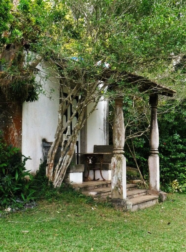 Lunuganga - Kohti avaraa maailmaa