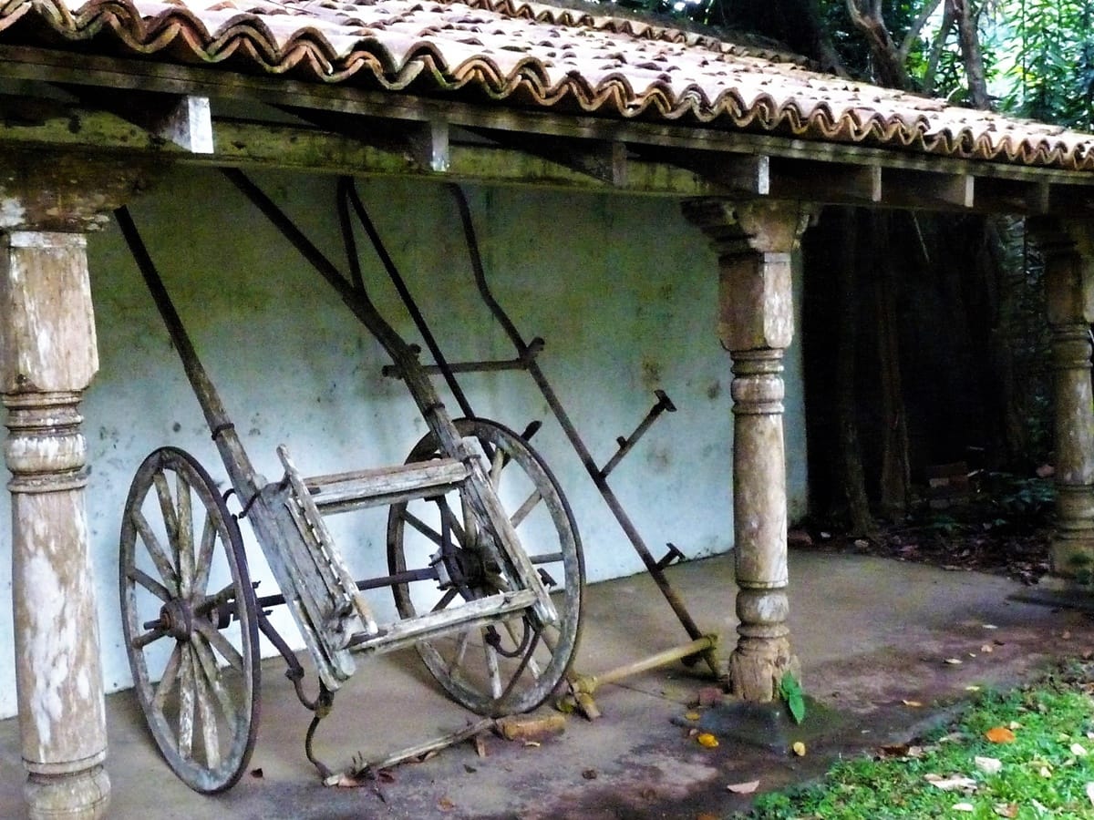 Lunuganga - Kohti avaraa maailmaa