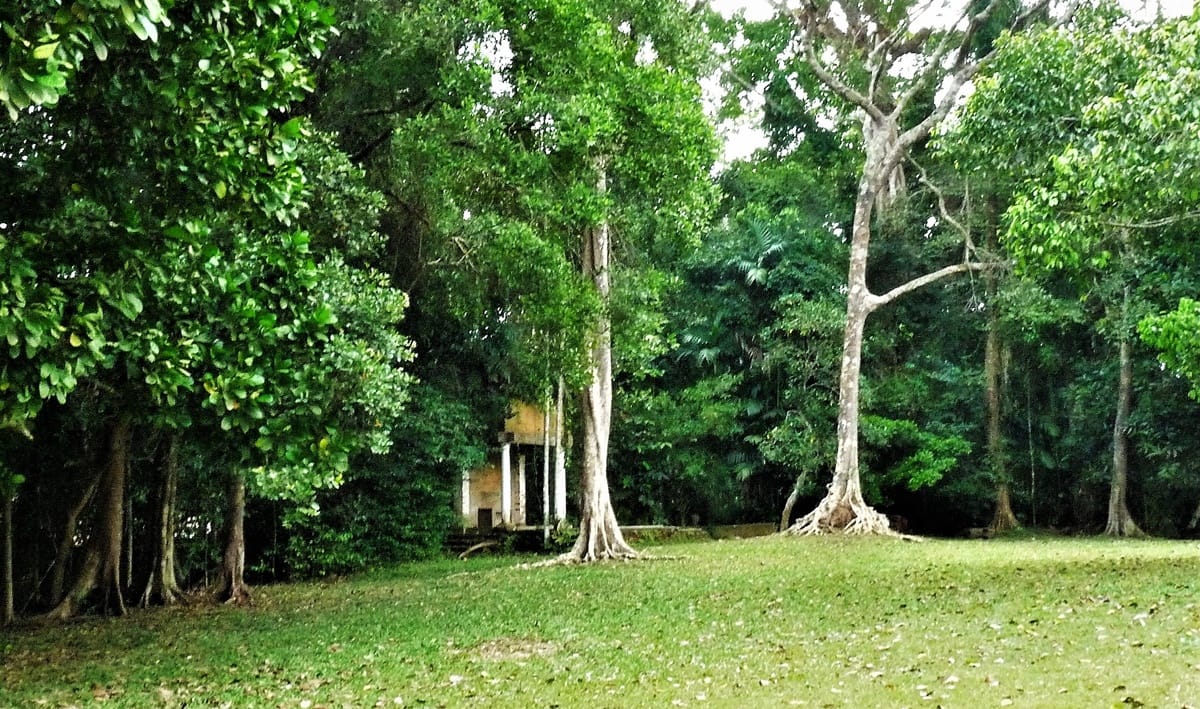 Lunuganga - Kohti avaraa maailmaa