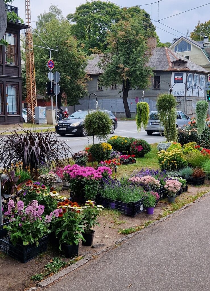 Kalnciema - Kohti avaraa maailmaa