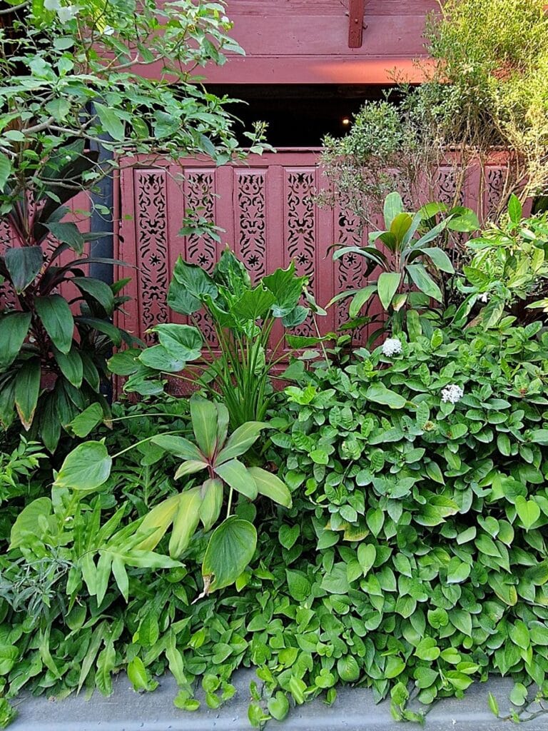 Jim Thompson House - Kohti avaraa maailmaa