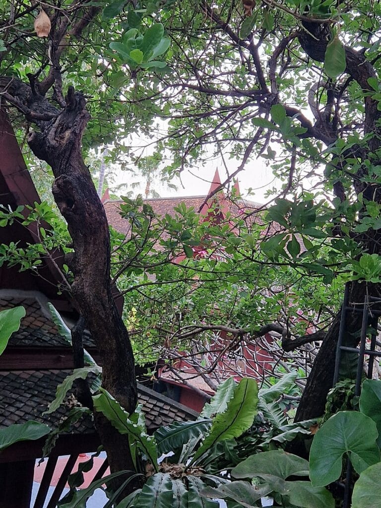 Jim Thompson House - Kohti avaraa maailmaa